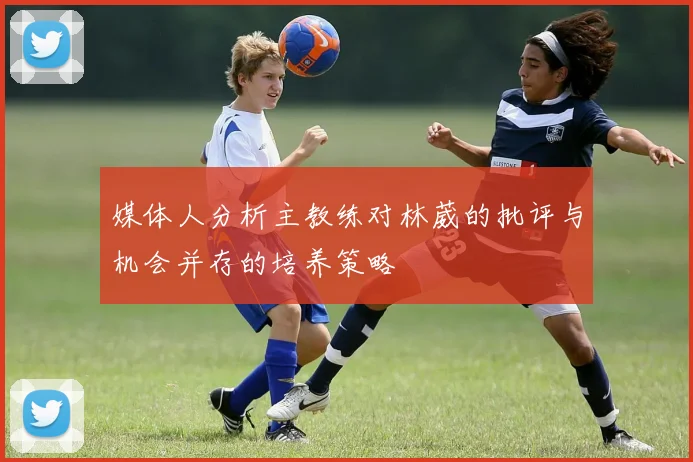 媒体人分析主教练对林葳的批评与机会并存的培养策略